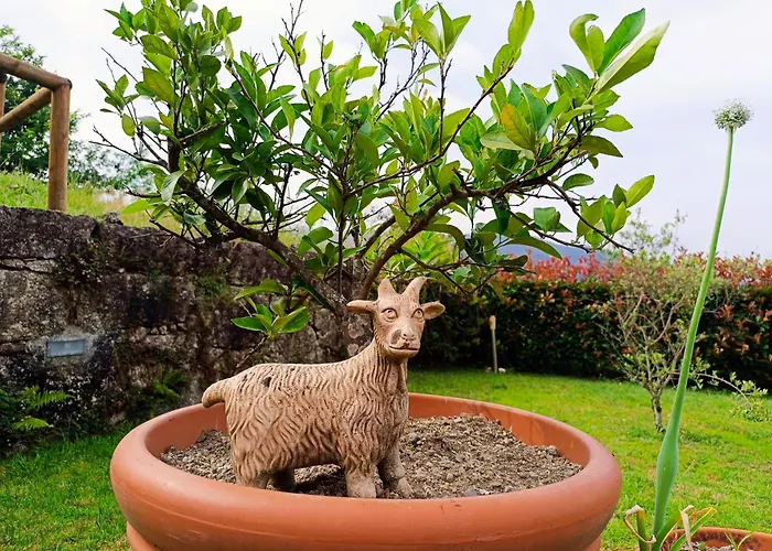 Casa Da Vista Bonita Vieira do Minho